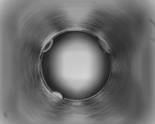 X0000100381484200806201639