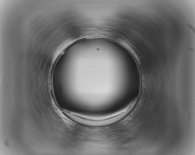 X0000100381485200806201639