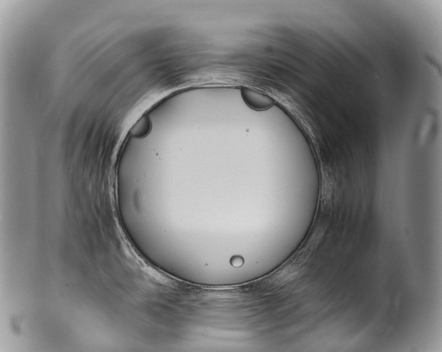 X0000100381486200806201639