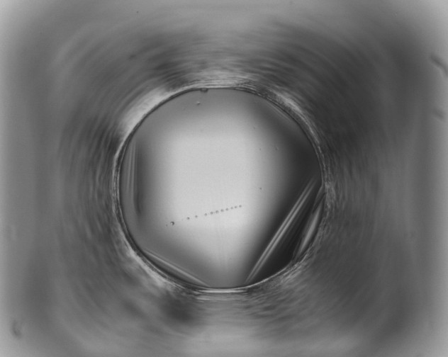 X0000100381487200806201639