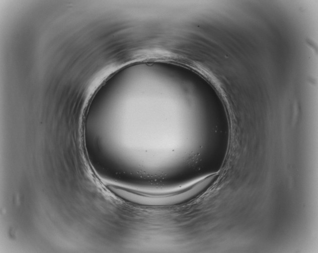 X0000100381488200806201639