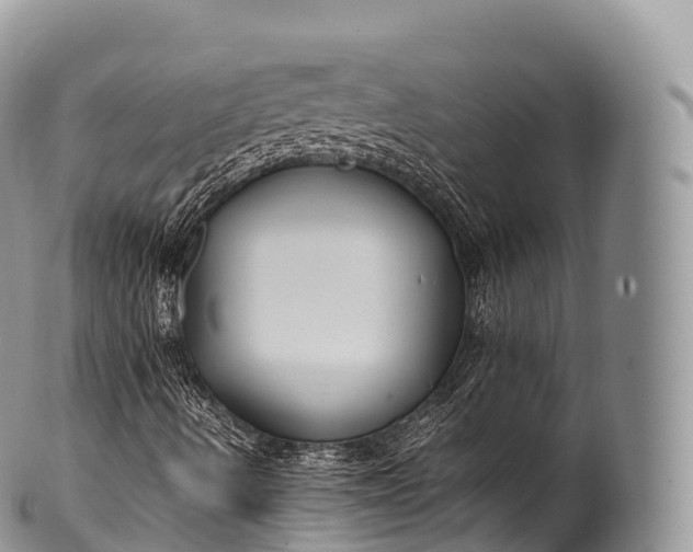 X0000100381490200806201638