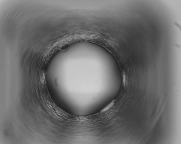 X0000100381492200806201638