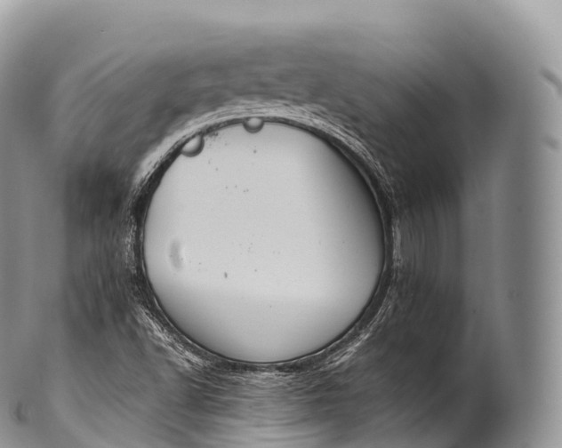 X0000100381502200806201638