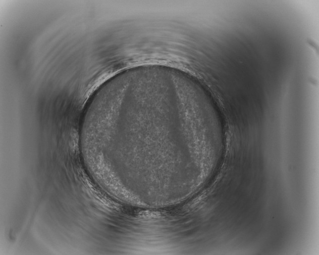 X0000100381505200806201638