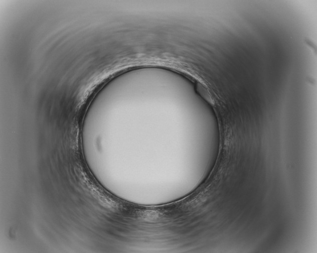 X0000100381507200806201638