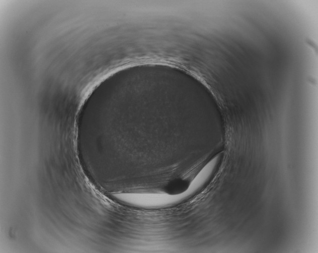 X0000100381508200806201638
