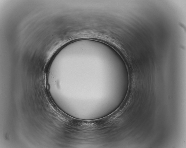 X0000100381509200806201639