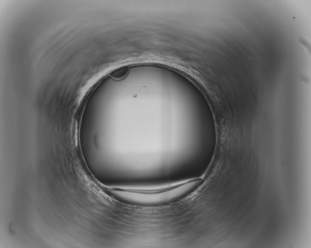 X0000100381510200806201639