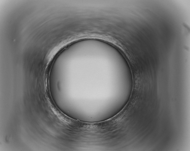 X0000100381511200806201639