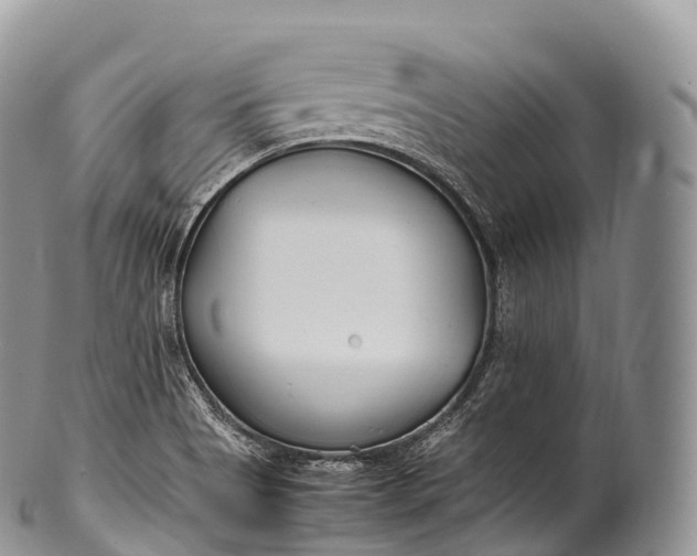 X0000100381513200806201639