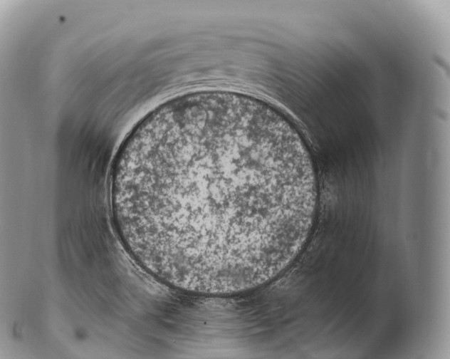 X0000100381514200806201639