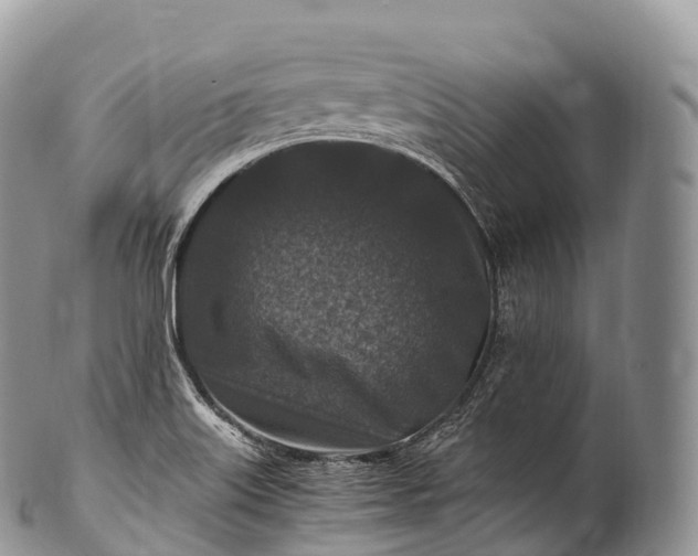 X0000100381515200806201639