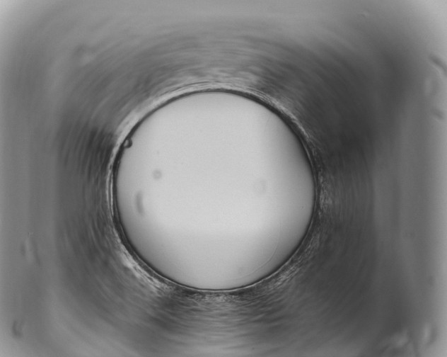 X0000100381516200806201639