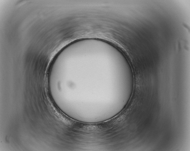 X0000100381517200806201639