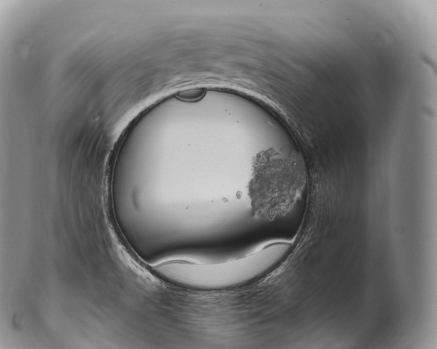 X0000100381518200806201639