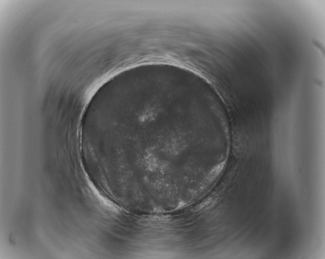 X0000100381519200806201639