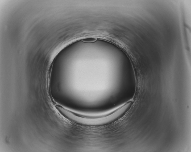 X0000100381520200806201639