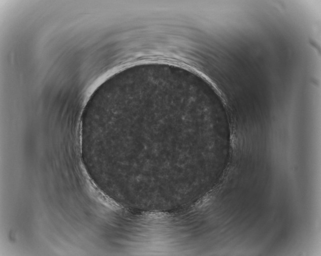X0000100381522200806201639