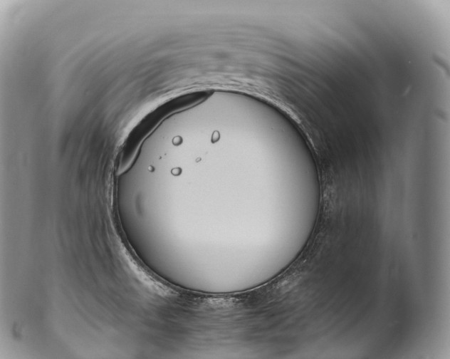 X0000100381523200806201639