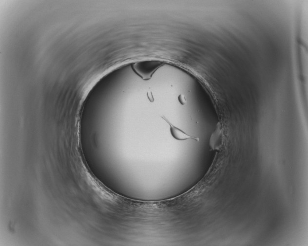 X0000100381524200806201639