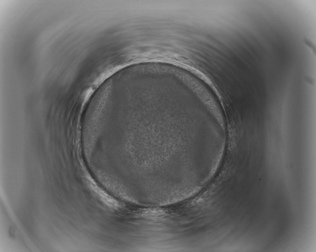 X0000100381525200806201639