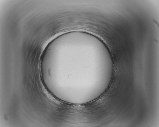 X0000100381526200806201639