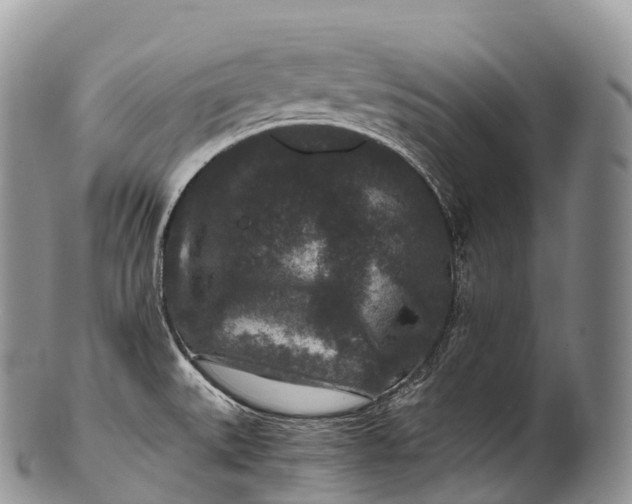 X0000100381527200806201639