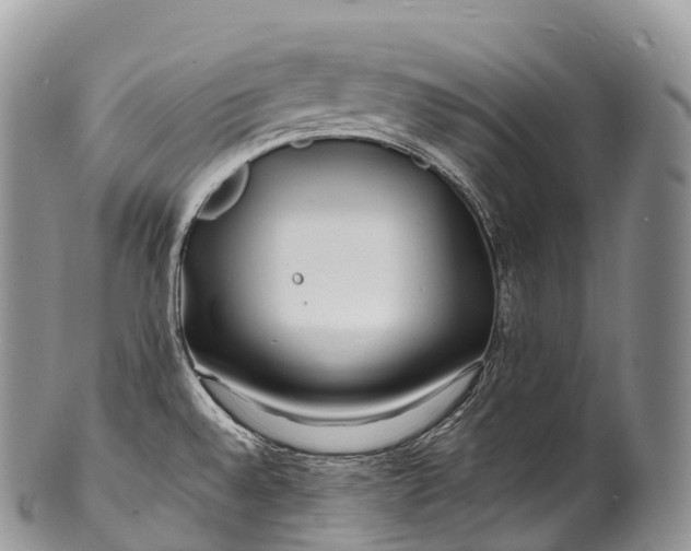 X0000100381528200806201639