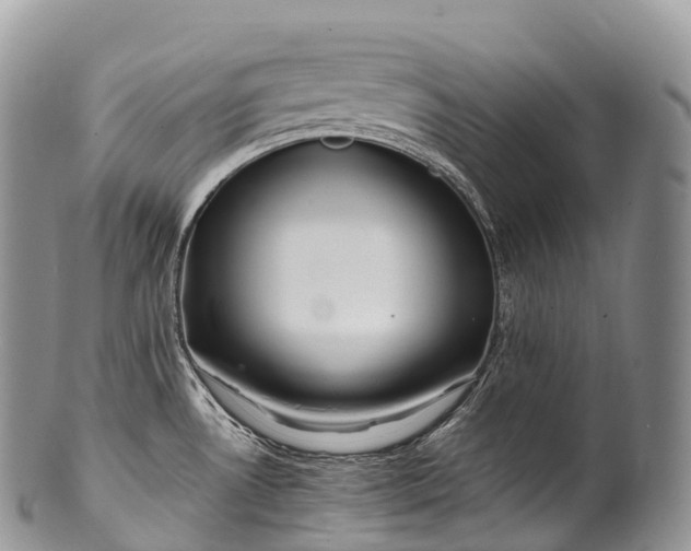 X0000100381530200806201639