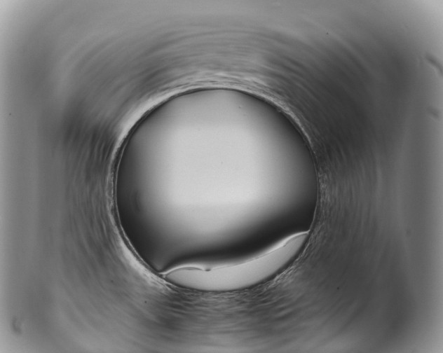 X0000100381531200806201639