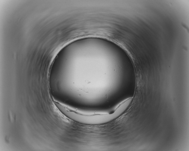X0000100381532200806201639