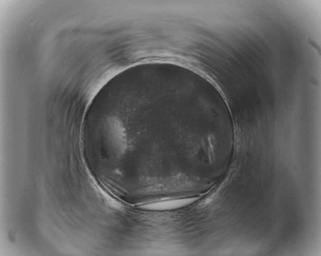 X0000100381533200806201639