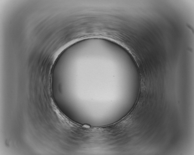 X0000100381534200806201639