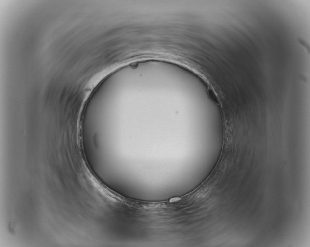 X0000100381535200806201639