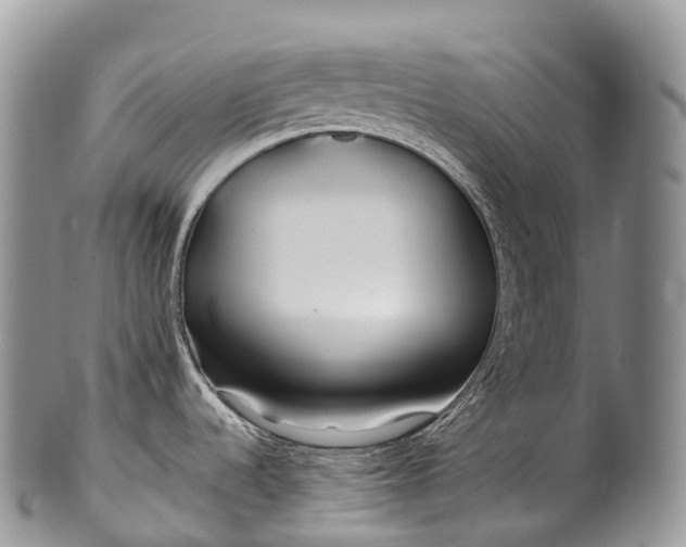 X0000100381536200806201639