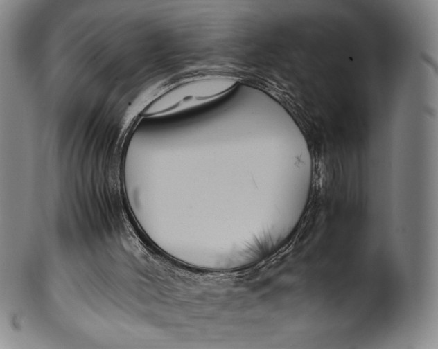 X0000100380004200806271345