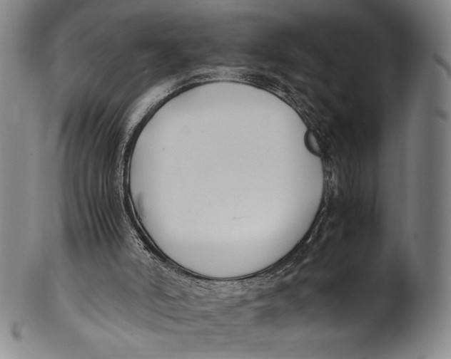 X0000100380006200806271345