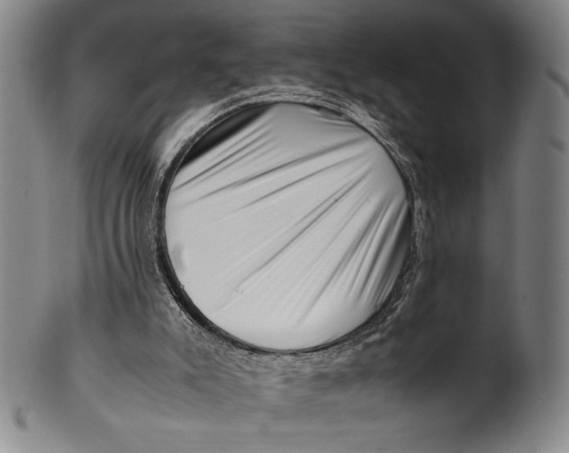 X0000100380007200806271345