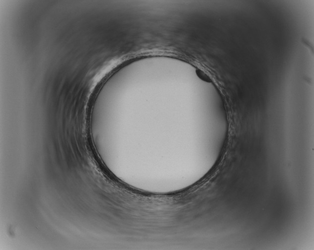 X0000100380008200806271345