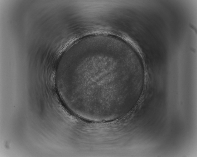 X0000100380009200806271345