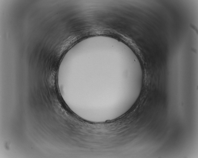 X0000100380010200806271345