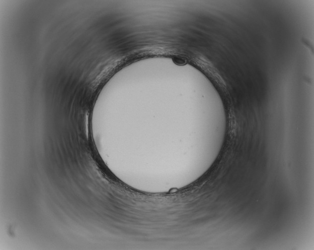 X0000100380014200806271345