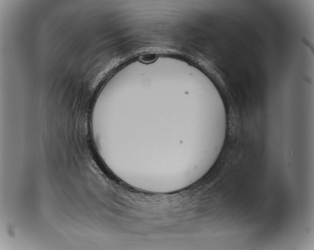 X0000100380015200806271345