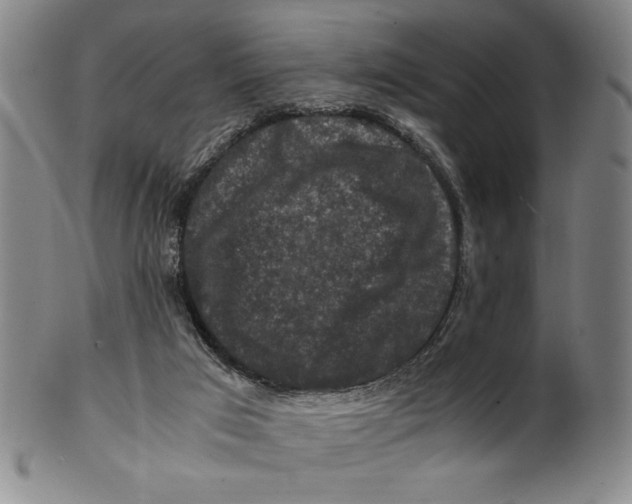 X0000100380017200806271345
