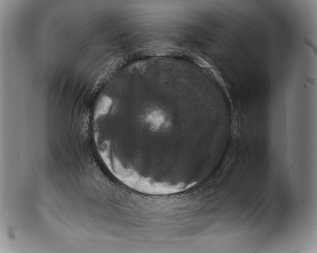 X0000100380018200806271345