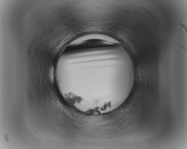 X0000100380024200806271344