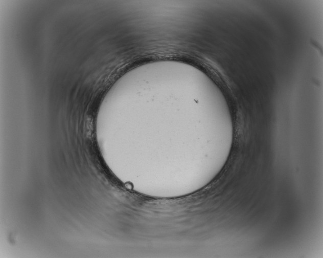 X0000100380025200806271344