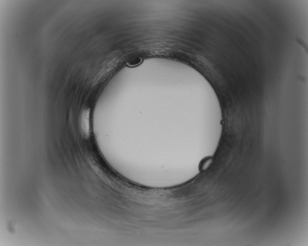 X0000100380028200806271344