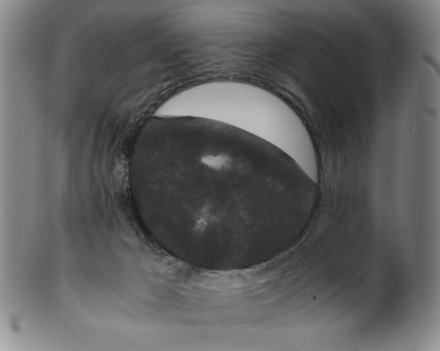 X0000100380029200806271344